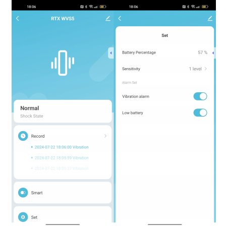 Czujnik Sensor Wibracji Wstrząsu Uderzenia WiFi Tuya RTX Eco