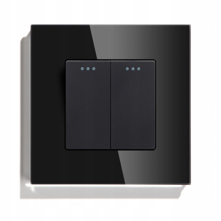 Włącznik światła 2P mechaniczny wkład czarn RTX SH